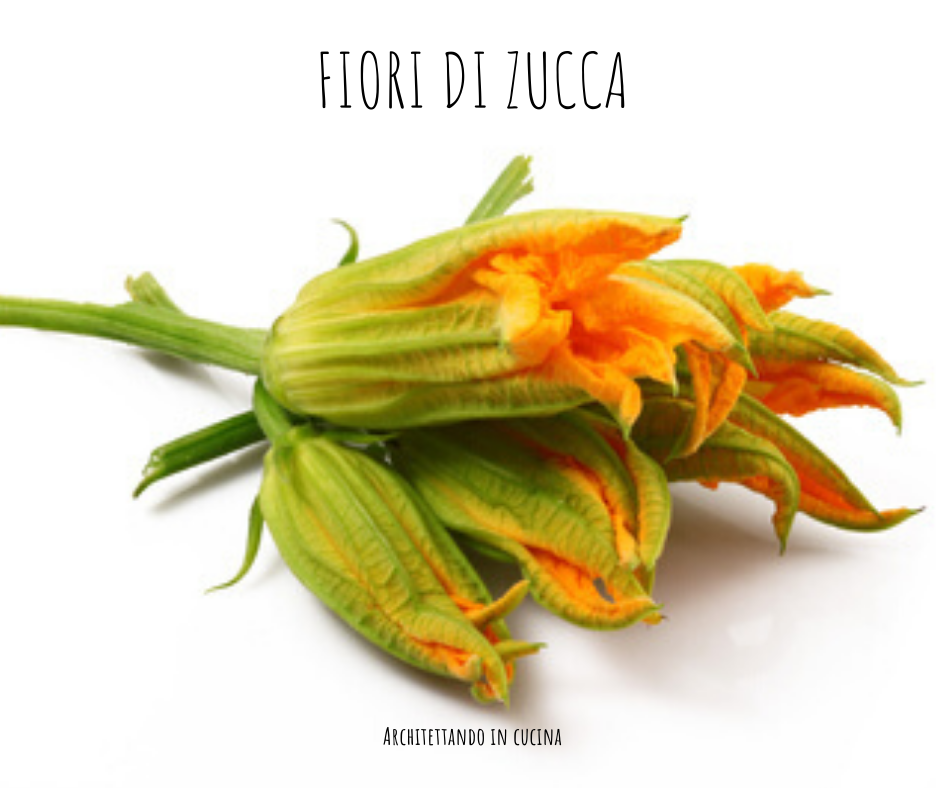 Fiori di zucca